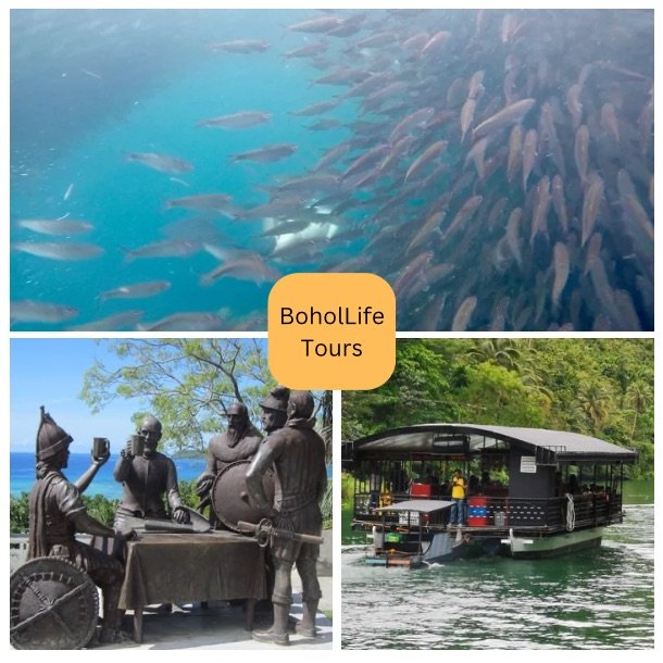 Images of marine and land tours